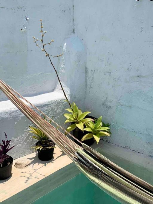 Casita Azul Colonial En El Centro De Merida. Εξωτερικό φωτογραφία