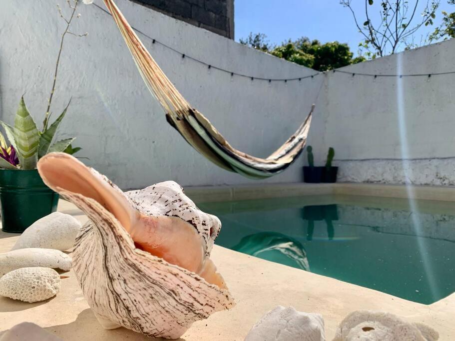 Casita Azul Colonial En El Centro De Merida. Εξωτερικό φωτογραφία